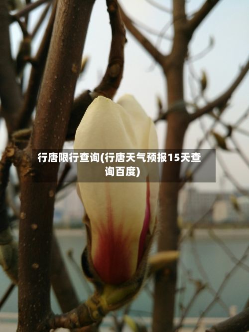 行唐限行查询(行唐天气预报15天查询百度)