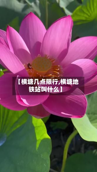 【横塘几点限行,横塘地铁站叫什么】-第3张图片