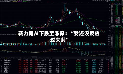 赛力斯从下跌至涨停！“我还没反应过来啊”