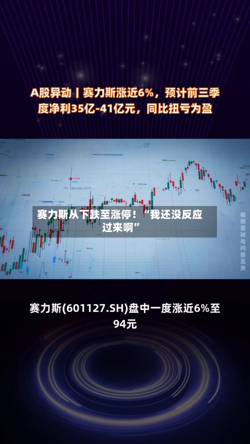 赛力斯从下跌至涨停！“我还没反应过来啊	”-第2张图片