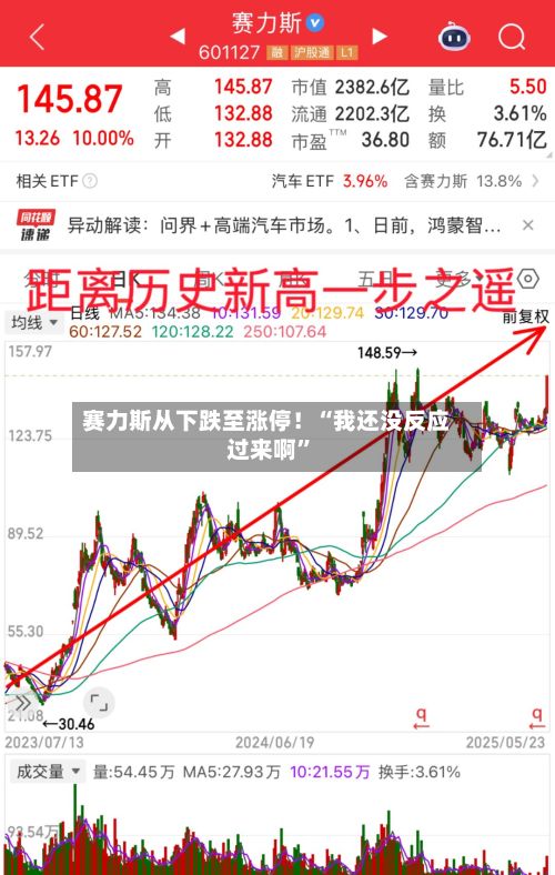 赛力斯从下跌至涨停！“我还没反应过来啊”-第3张图片