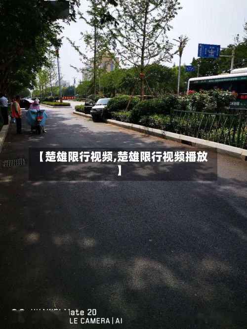 【楚雄限行视频,楚雄限行视频播放】-第3张图片