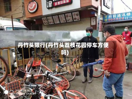 丹竹头限行(丹竹头荔枝花园停车方便吗)