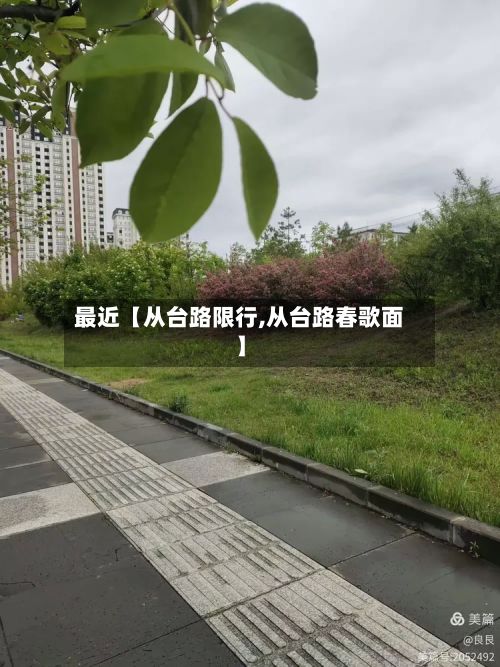 最近【从台路限行,从台路春歌面】-第2张图片