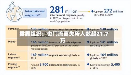 世界移民组织：也门流离失所人数超21.7万