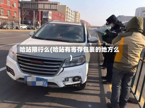 哈站限行么(哈站有寄存包裹的地方么)