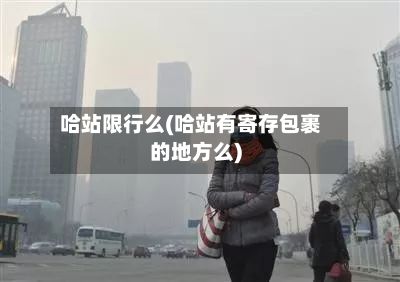 哈站限行么(哈站有寄存包裹的地方么)-第2张图片