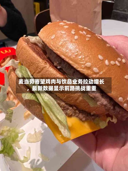 麦当劳寄望鸡肉与饮品业务拉动增长，最新数据显示前路挑战重重-第2张图片
