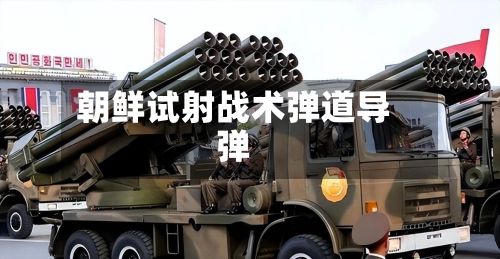 朝鲜试射战术弹道导弹