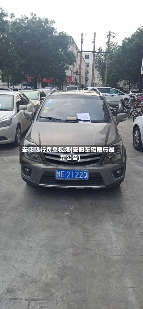 安阳限行罚单视频(安阳车辆限行最新公告)-第2张图片