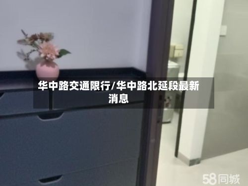 华中路交通限行/华中路北延段最新消息-第2张图片