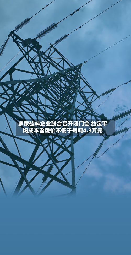 多家硅料企业联合召开闭门会 约定平均成本含税价不低于每吨4.3万元-第1张图片