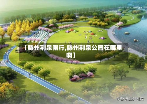 【滕州荆泉限行,滕州荆泉公园在哪里啊】-第3张图片