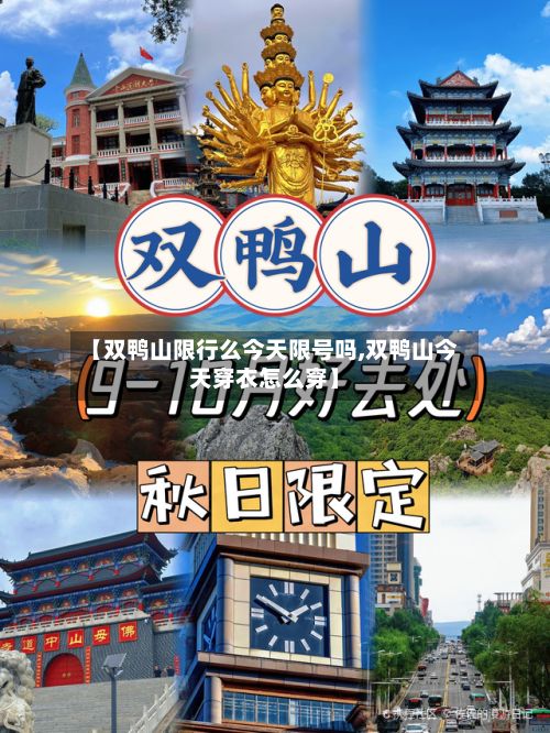 【双鸭山限行么今天限号吗,双鸭山今天穿衣怎么穿】-第2张图片