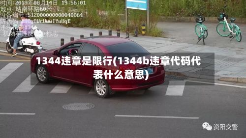1344违章是限行(1344b违章代码代表什么意思)