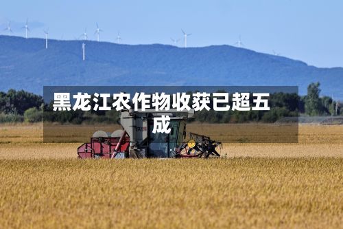 黑龙江农作物收获已超五成