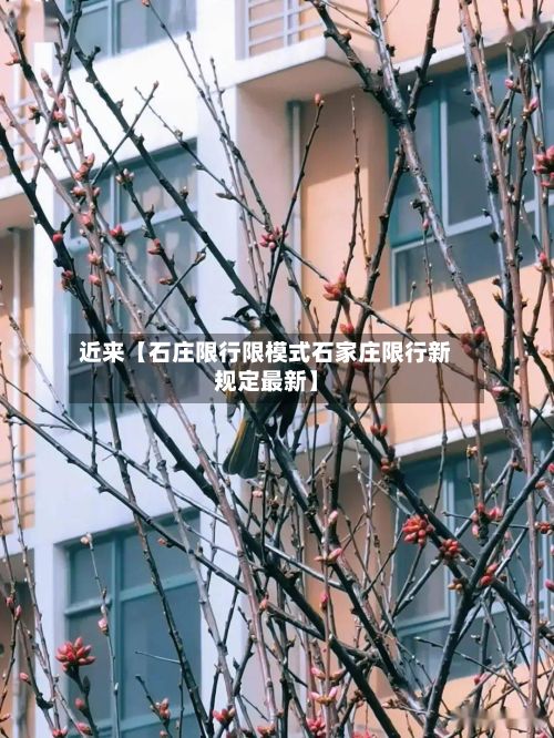 近来【石庄限行限模式石家庄限行新规定最新】