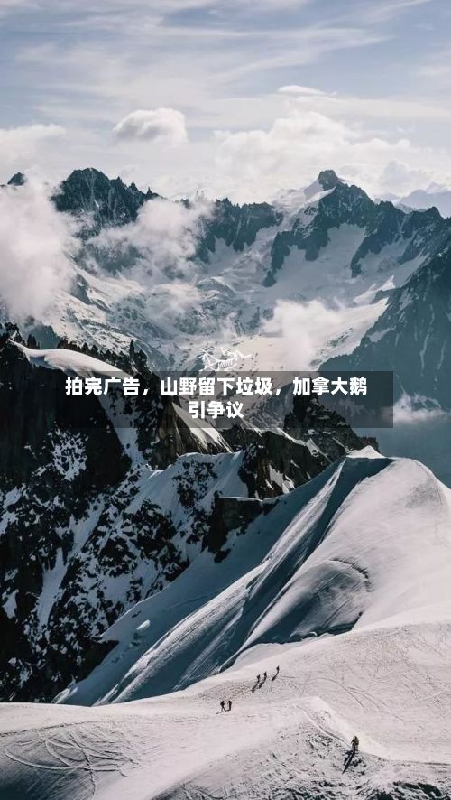 拍完广告，山野留下垃圾，加拿大鹅引争议