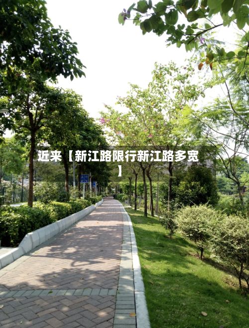 近来【新江路限行新江路多宽】-第3张图片