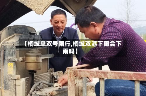 【桐城单双号限行,桐城双港下周会下雨吗】-第2张图片