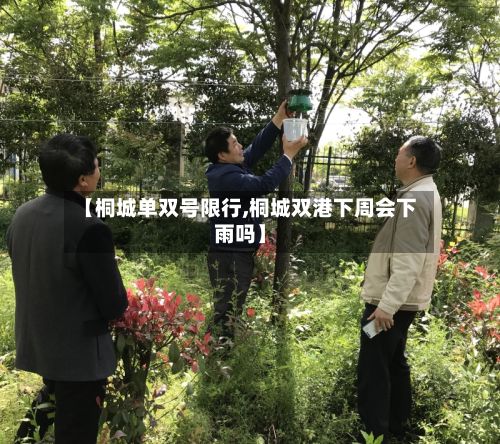 【桐城单双号限行,桐城双港下周会下雨吗】-第3张图片