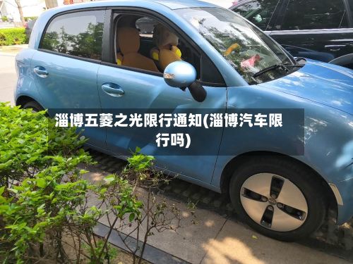 淄博五菱之光限行通知(淄博汽车限行吗)