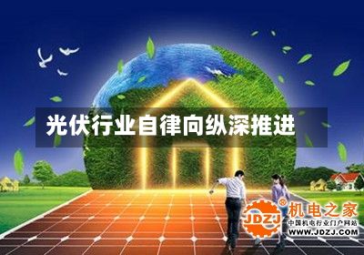 光伏行业自律向纵深推进-第3张图片