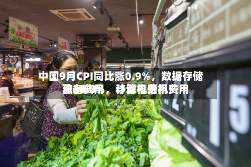 中国9月CPI同比涨0.9%	，数据存储设备费用涨46.7%，计算机费用涨21.8%，移动电话机费用涨14.9%-第2张图片