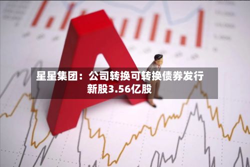 星星集团：公司转换可转换债券发行新股3.56亿股-第2张图片