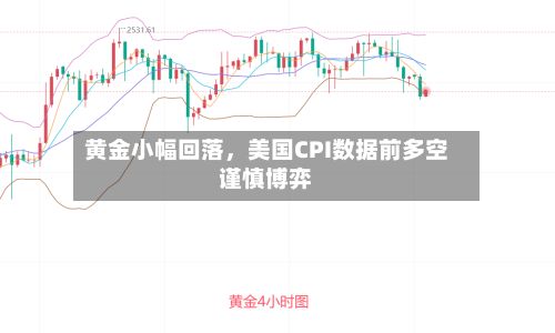 黄金小幅回落，美国CPI数据前多空谨慎博弈