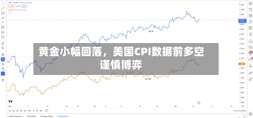 黄金小幅回落	，美国CPI数据前多空谨慎博弈-第2张图片