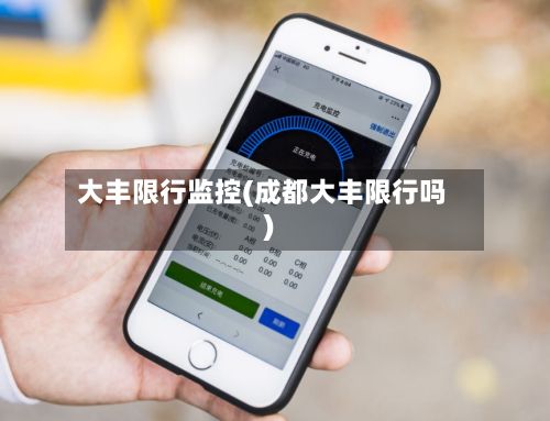 大丰限行监控(成都大丰限行吗)-第2张图片
