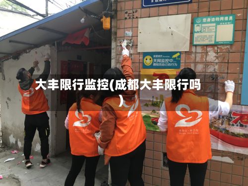 大丰限行监控(成都大丰限行吗)-第3张图片
