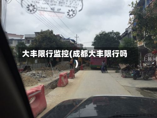 大丰限行监控(成都大丰限行吗)