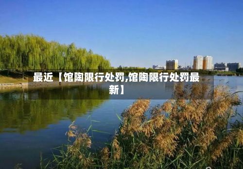 最近【馆陶限行处罚,馆陶限行处罚最新】-第2张图片