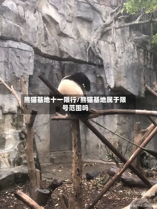 熊猫基地十一限行/熊猫基地属于限号范围吗-第3张图片