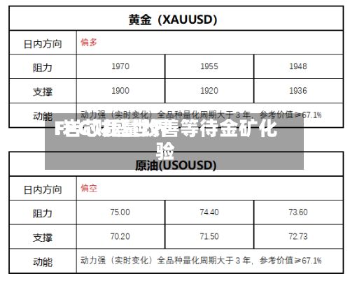 FPG财盛世界
:岩芯质量改善等待金矿化验-第1张图片