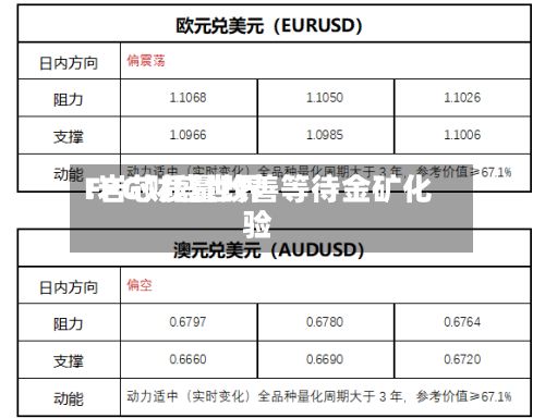 FPG财盛世界
:岩芯质量改善等待金矿化验-第3张图片