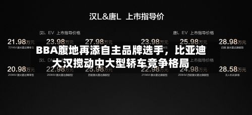 BBA腹地再添自主品牌选手，比亚迪大汉搅动中大型轿车竞争格局-第2张图片