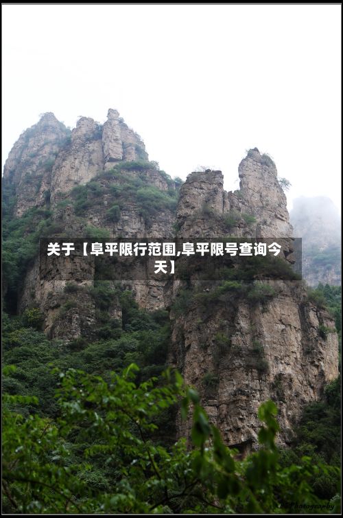关于【阜平限行范围,阜平限号查询今天】