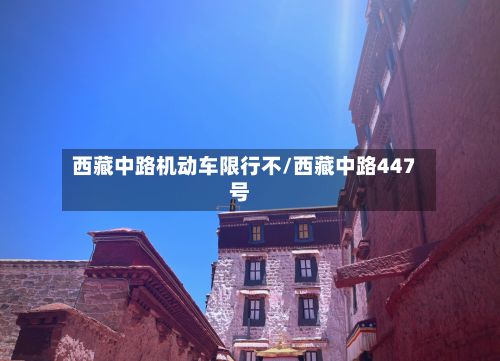 西藏中路机动车限行不/西藏中路447号