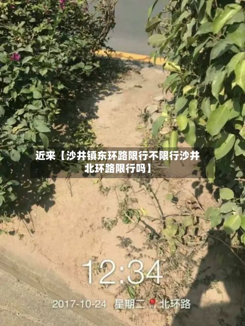 近来【沙井镇东环路限行不限行沙井北环路限行吗】