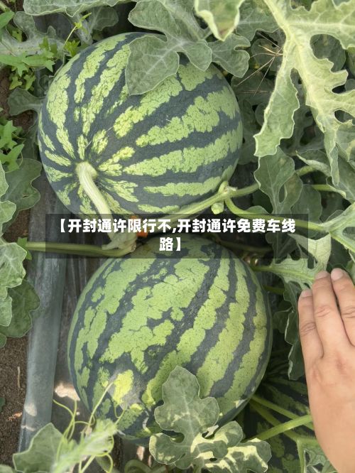 【开封通许限行不,开封通许免费车线路】
