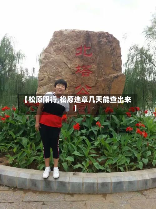【松原限行,松原违章几天能查出来】-第2张图片
