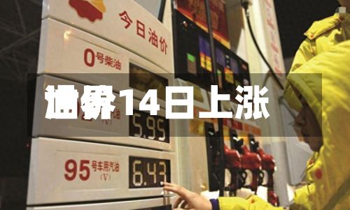 世界油价14日上涨-第2张图片