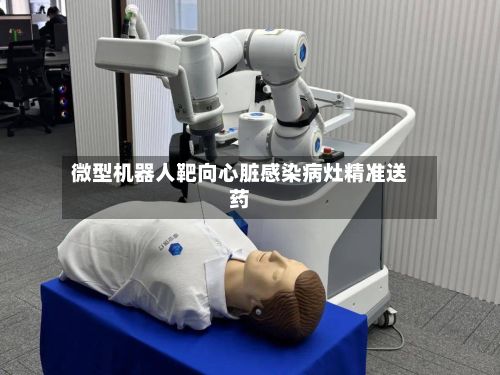 微型机器人靶向心脏感染病灶精准送药-第2张图片