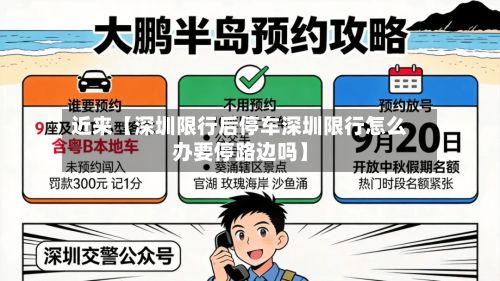 近来【深圳限行后停车深圳限行怎么办要停路边吗】-第2张图片