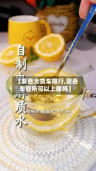 【安岳大货车限行,安岳车管所可以上牌吗】-第2张图片