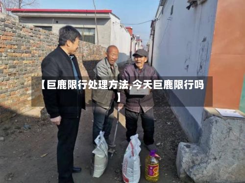 【巨鹿限行处理方法,今天巨鹿限行吗】
