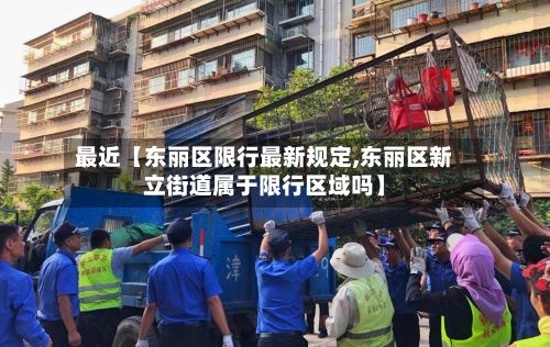 最近【东丽区限行最新规定,东丽区新立街道属于限行区域吗】-第2张图片